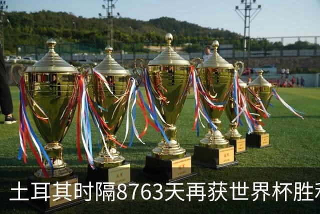 土耳其时隔8763天再获世界杯胜利 星月军团昂首挥别美加墨